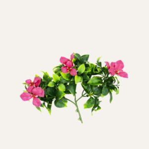 Jazmín flor ciruela