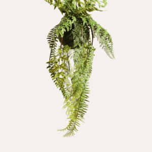 Helecho colgante 65cm