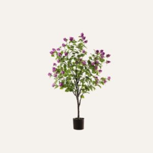 Hortensia Paniculata Morada 160 cm