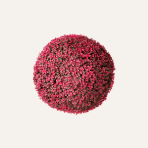 Paniculata fucsia 33cm