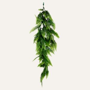 Helecho mixto colgante