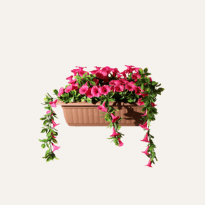 Jardinera jazmin fucsia