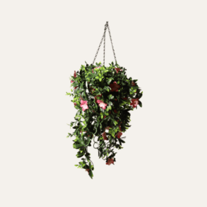 Jardinera colgante lirio rosa