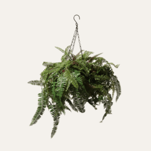 Jardinera colgante mixta