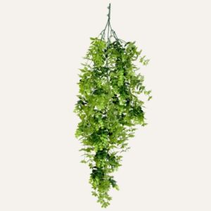 Eucalipto mixto premium