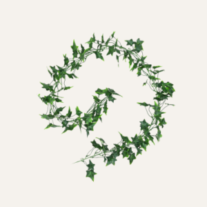 Guirnalda hiedra común