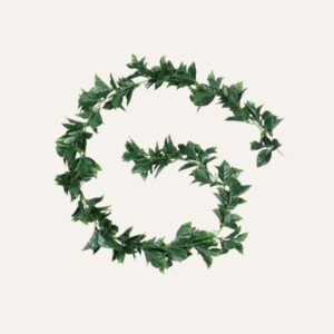 Guirnalda hiedra laurel