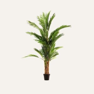 Palmera 189 cm