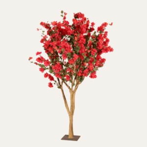 Árbol buganvilla mixta 220cm