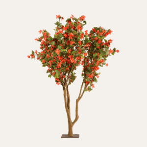 Árbol buganvilla naranja 220cm