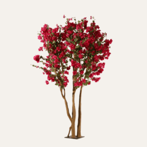 Árbol buganvilla rosa 250cm