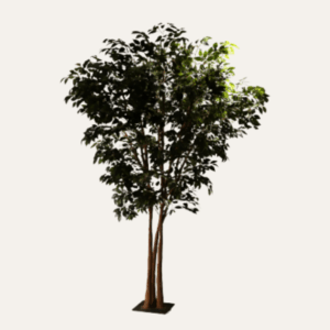 Árbol ficus 230cm
