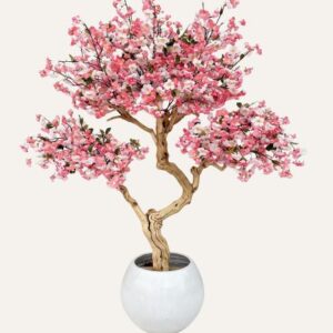 Almendro Tradicional