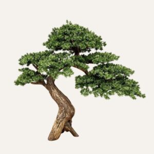 Pino de Olmo Premium